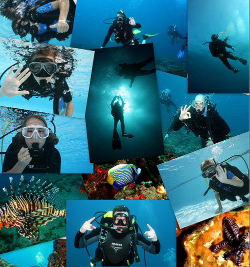 Scubacentre's profile picture. Scuba Centre Tygervalley is a state-of-the-art dive training, retail and service centre in Cape Town South Africa.
