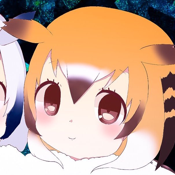 竹茶さんのプロフィール画像
