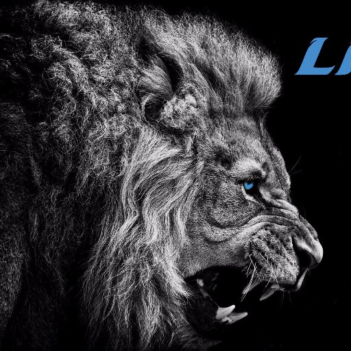 LionPride8123 Profile Picture