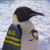 Ms. Snyder Penguins get vaccinated too💉💉💉💉💉💉 (@crazieone2750) Twitter profile photo Ms. Snyder Penguins get vaccinated too💉💉💉💉💉💉 (@crazieone2750) Twitter profile photo