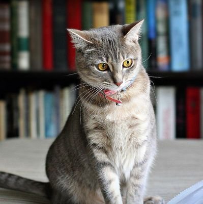 mq0dRbA15MUN83c's profile picture. 