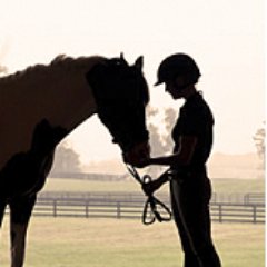 The perfect microchip for all things equine: passports, health certificates, proof of ownership, rescue/recovery, safety nets and more. #equinemicrochip #horses