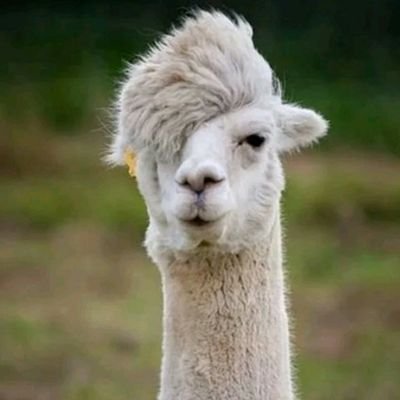 JamietheYid79's profile picture. 