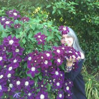 🦋🌻🌊Bennie🌊🌻🦋 (@lightningwoman) 's Twitter Profile