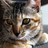 macinpop's profile image
