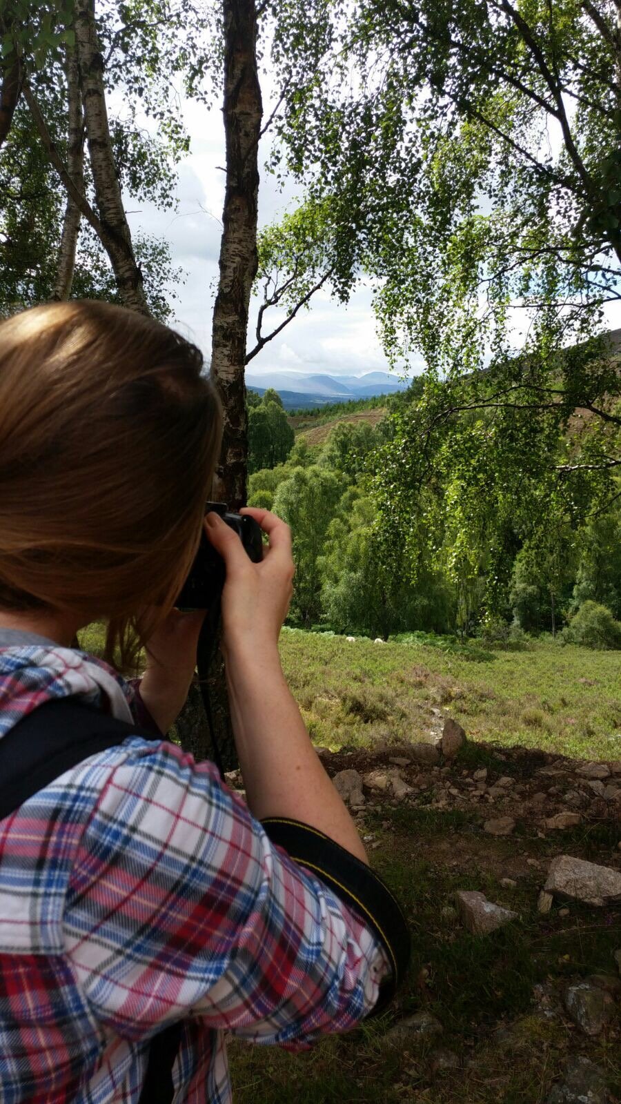 CorvidaeDreams's profile picture. Live, and do it bravely.