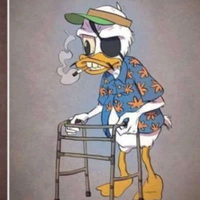 hanamizugeinin1's profile picture. 