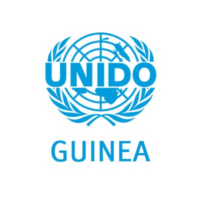 Bureau Pays - Organisation Nations Unies #Development #Industriel #Inclusif et #Durable (#ONUDI). @UNIDO
