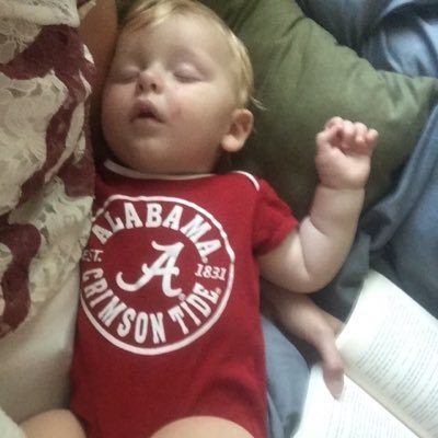 Patriot, Conservative, Right Winger, American Loving Bama Fan . We are many!! RTR!