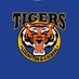 Lexington Tigers (@lexingtonpusd) Twitter profile photo Lexington Tigers (@lexingtonpusd) Twitter profile photo