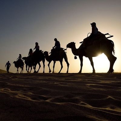 jhas9761's profile picture. 