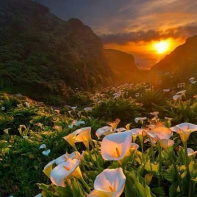 rzgaan0000's profile picture. ستعيش مره واحده،إذا أخطأت إعتذر وإذا فرحت عبّر،وأصفح لأجل الود ، لا تكن معقداً،كن بسيط تنبسط لك الفانيه،والأهم لا تكره ولا تحقد ولا تحسد، وكن مع الله يكن معك.