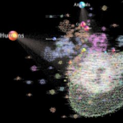 qubitK's profile picture. 