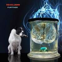 Revolushn (@revolushnband) 's Twitter Profile