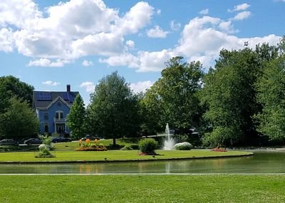 TamMad1's profile picture. 