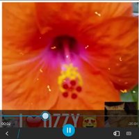 🔥 Giselle 🌪️ ⭐ (@tootleloops) 's Twitter Profile