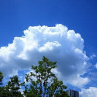 空色 (@panda07dis) 's Twitter Profile