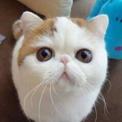 KnightG666's profile picture. 上推， 在公元二零一七👀