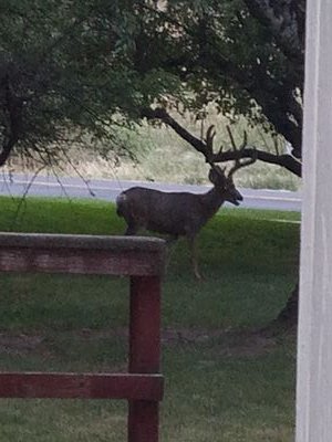 MikeBalls13's profile picture. 