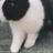 lillyfer85's profile image