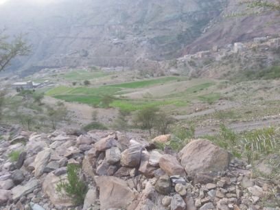 3Z1mF4AV0g7EB9V's profile picture. ‏ابو مشرح الرياشي