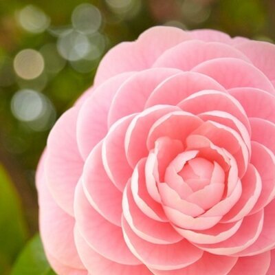 Xinran Li 写多些少都不合适 Xinran Li 写多些少都不合适