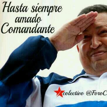 Antonio91618553's profile picture. Revolucionario Rodilla En Tierra.