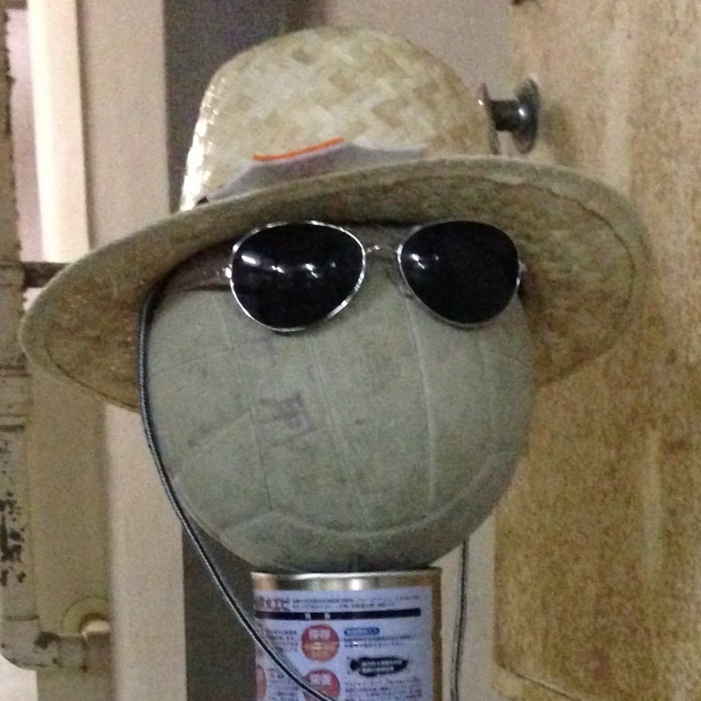 mosososo01's profile picture. ポケモンは神ゲーです