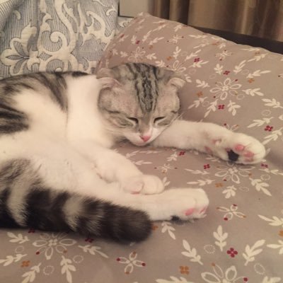 tomoya_kan_'s profile picture. 