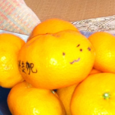 ミカン村のお茶っ子。