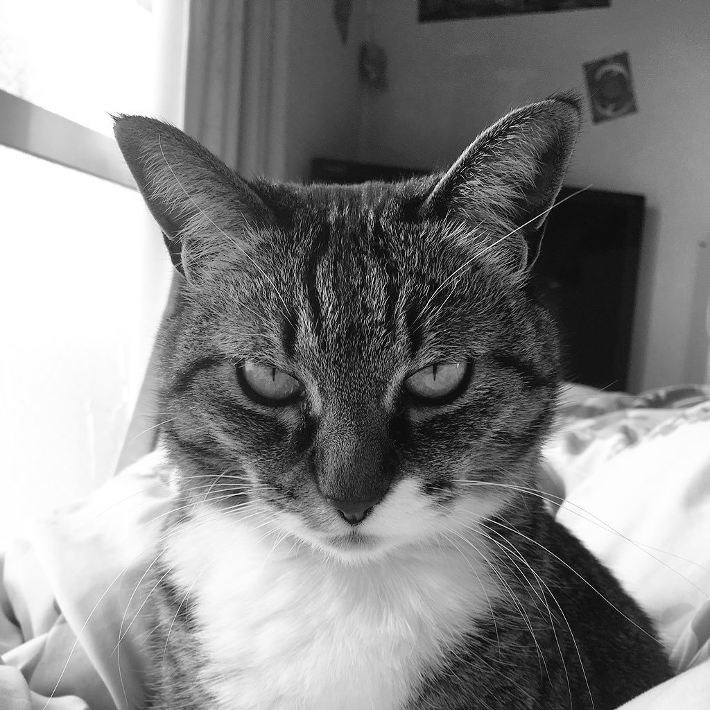 Ro_Denim's profile picture. フリーなランサー⭐︎エボリューション🚗💨