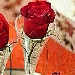 working hard to achieve goal of my life💞💟💞little bit shy💞 love to fly 💞over the sky💞💞I'm just cool💞 my bday on 11th june💞 if u fOrgEt💞u R a FoOL😜💞