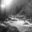 anton steiner - @antonsteiner - Twitter