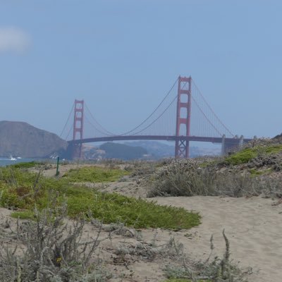 MS1711_'s profile picture. 