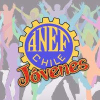Jóvenes ANEF Chile (@jovenes_anef) 's Twitter Profile