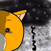 toruワクチン後遺症36ヶ月&双極症Ⅱ型 (@kurukuma) Twitter profile photo