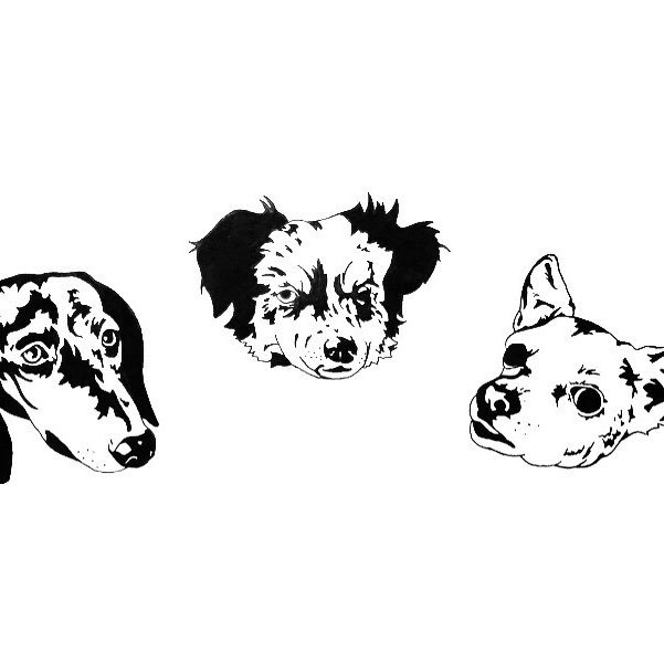 Okcarcrash's profile picture. potty punk