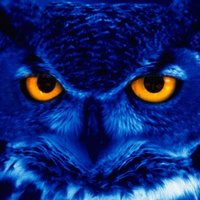 Влад Борода (@madeindonbas) 's Twitter Profile