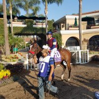 Medallion Racing (@medallionracing) 's Twitter Profile