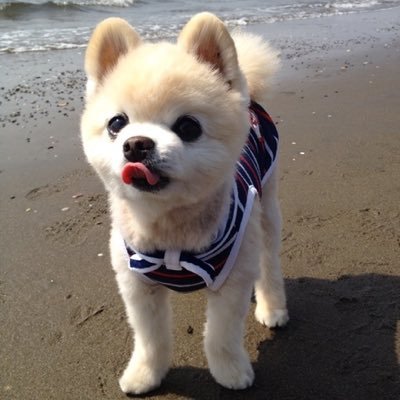 まっちゃんさんのプロフィール画像