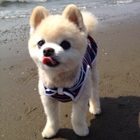 まっちゃん(@matsu19701970) 's Twitter Profile Photo
