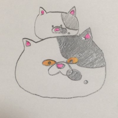 スプラ(をしたい欲を高めるだけの)垢/スプラ2への切符を買うお金も時間もない、ハイカラシティの幽霊/switch入手したら前作果たせなかったS+目指すぞ!/ チャーや、スクイク持てる人になりたい、スシコラ持ち。/手当り次第フォローします。すみません。フォロー返します。勝手ながら返していただけたら嬉しいです(´∀`*)