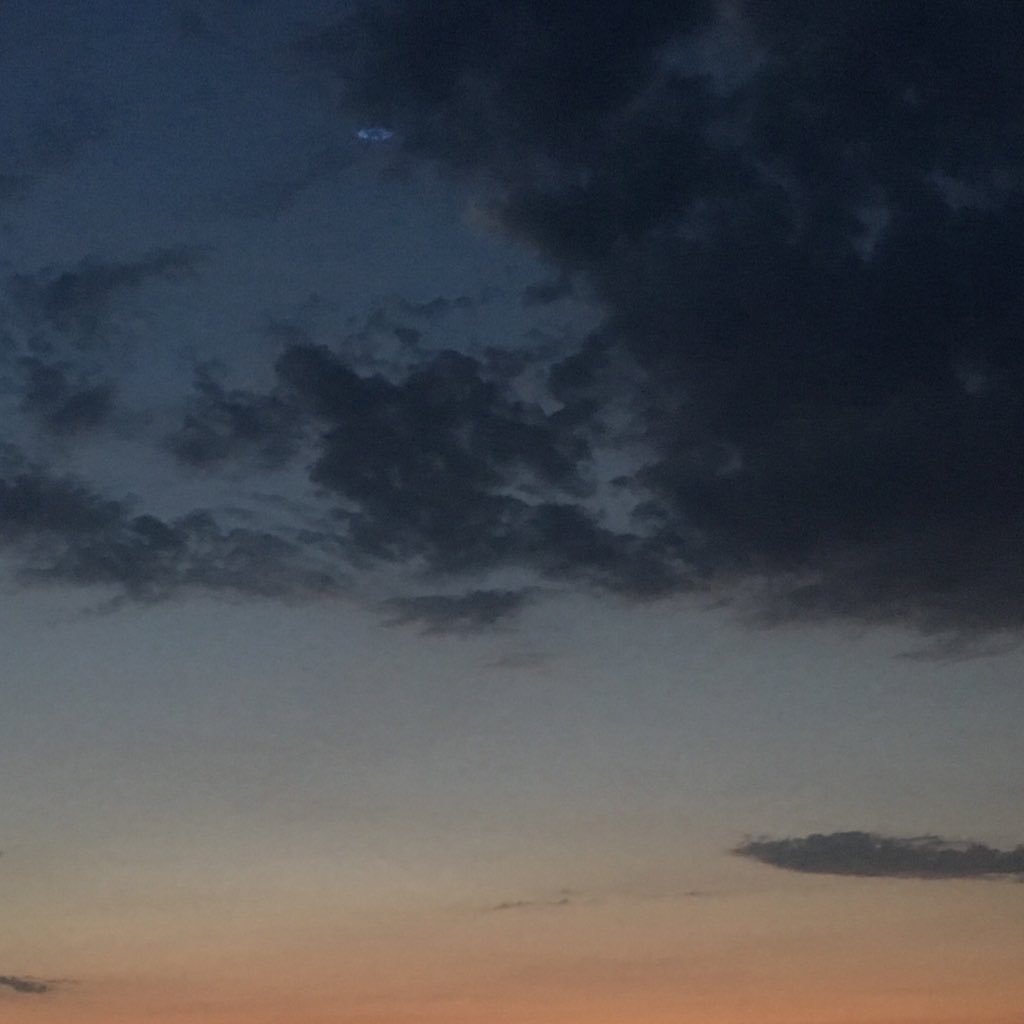 annakatsaneva's profile picture. When in doubt... Do it Yourself.