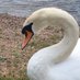 Sheila Popple (@popplesheila) Twitter profile photo Sheila Popple (@popplesheila) Twitter profile photo