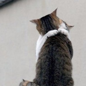 additionyang's profile picture. 