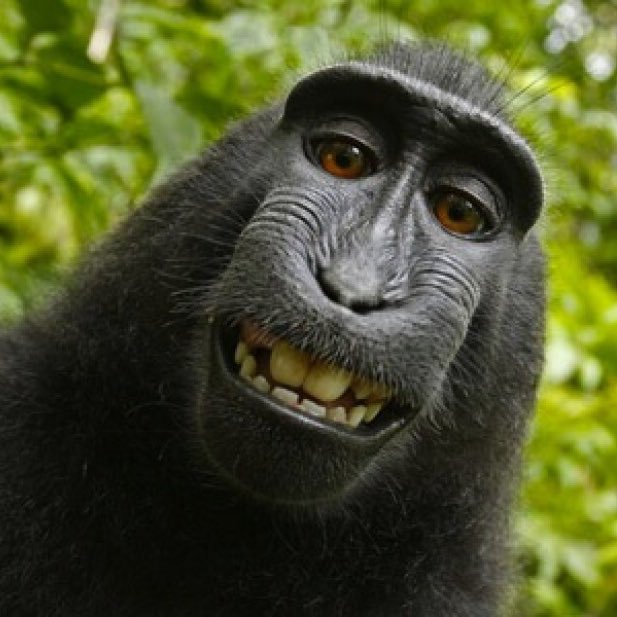 jrmiguel73's profile picture. 