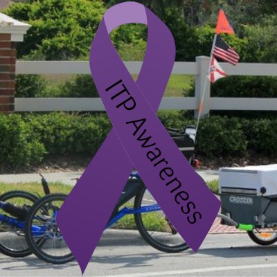 Anything and everything about Florida, Cycling and Amateur Radio - KM4VRK
