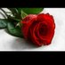 aysegul ve bora (@aysegul0013007) Twitter profile photo aysegul ve bora (@aysegul0013007) Twitter profile photo