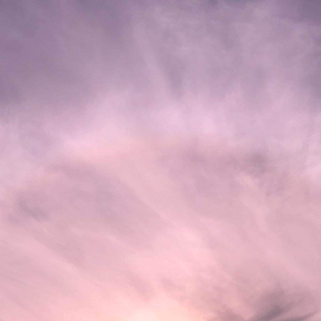 sogalmori's profile picture. 는밤