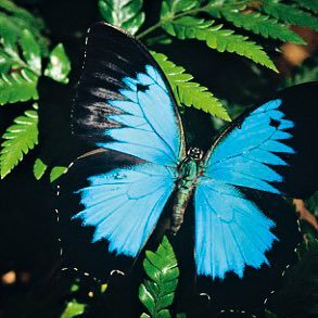 CKWCoach's profile picture. Coach, Consultant, Connector - Transition Specialist. MAGA! Proud American! 🇺🇸